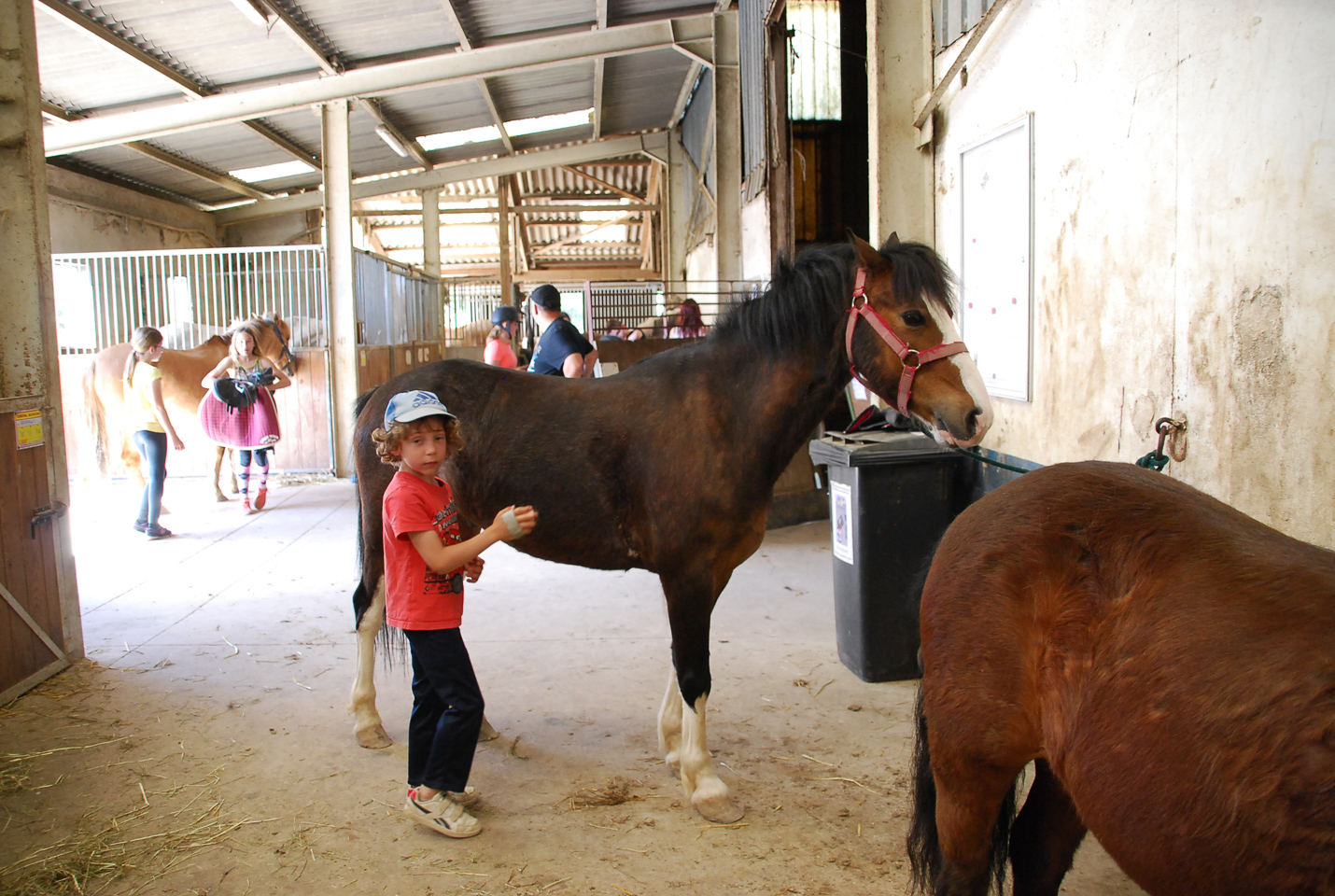 2018_04_19_Sotrie_Poney_Mimi_137.jpg