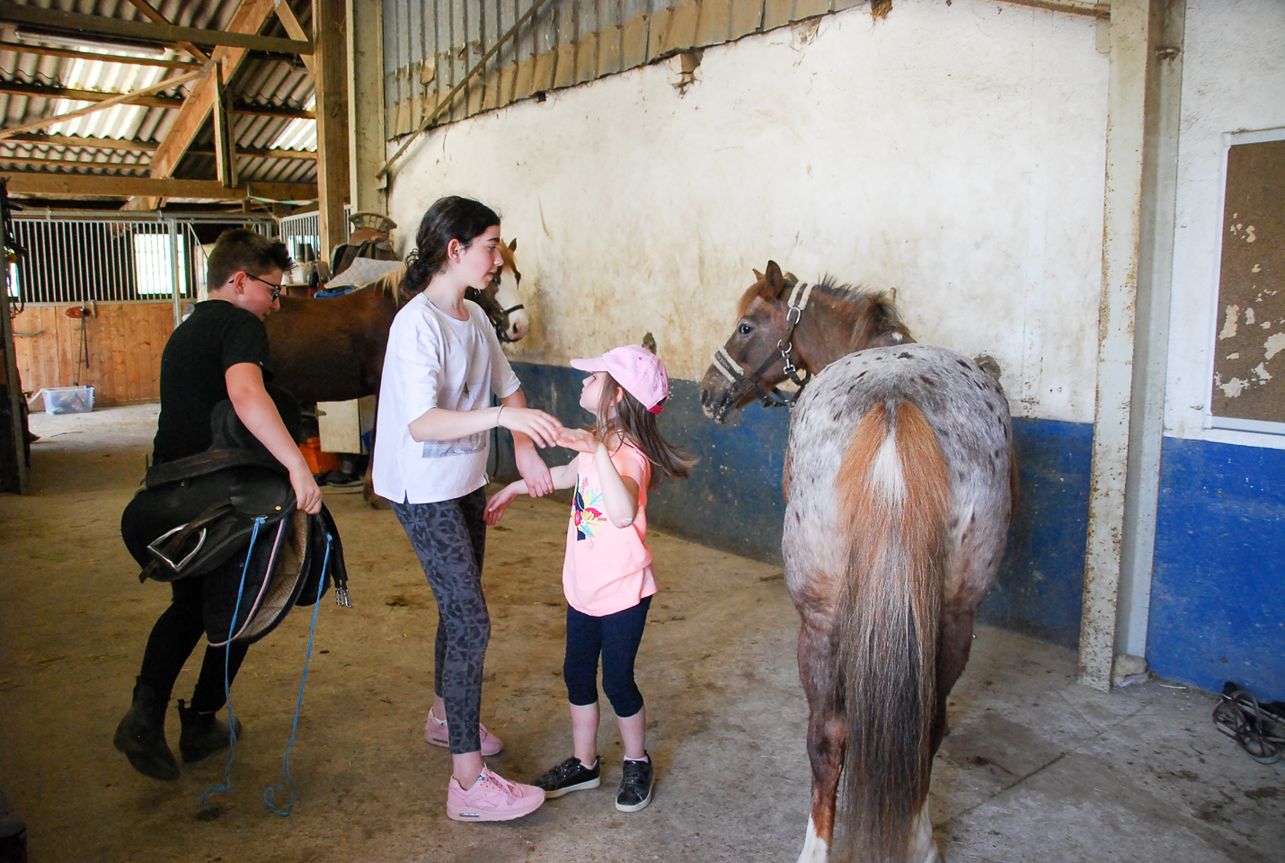 2018_04_19_Sotrie_Poney_Mimi_138.jpg