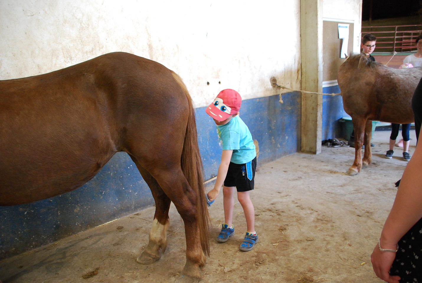 2018_04_19_Sotrie_Poney_Mimi_142.jpg