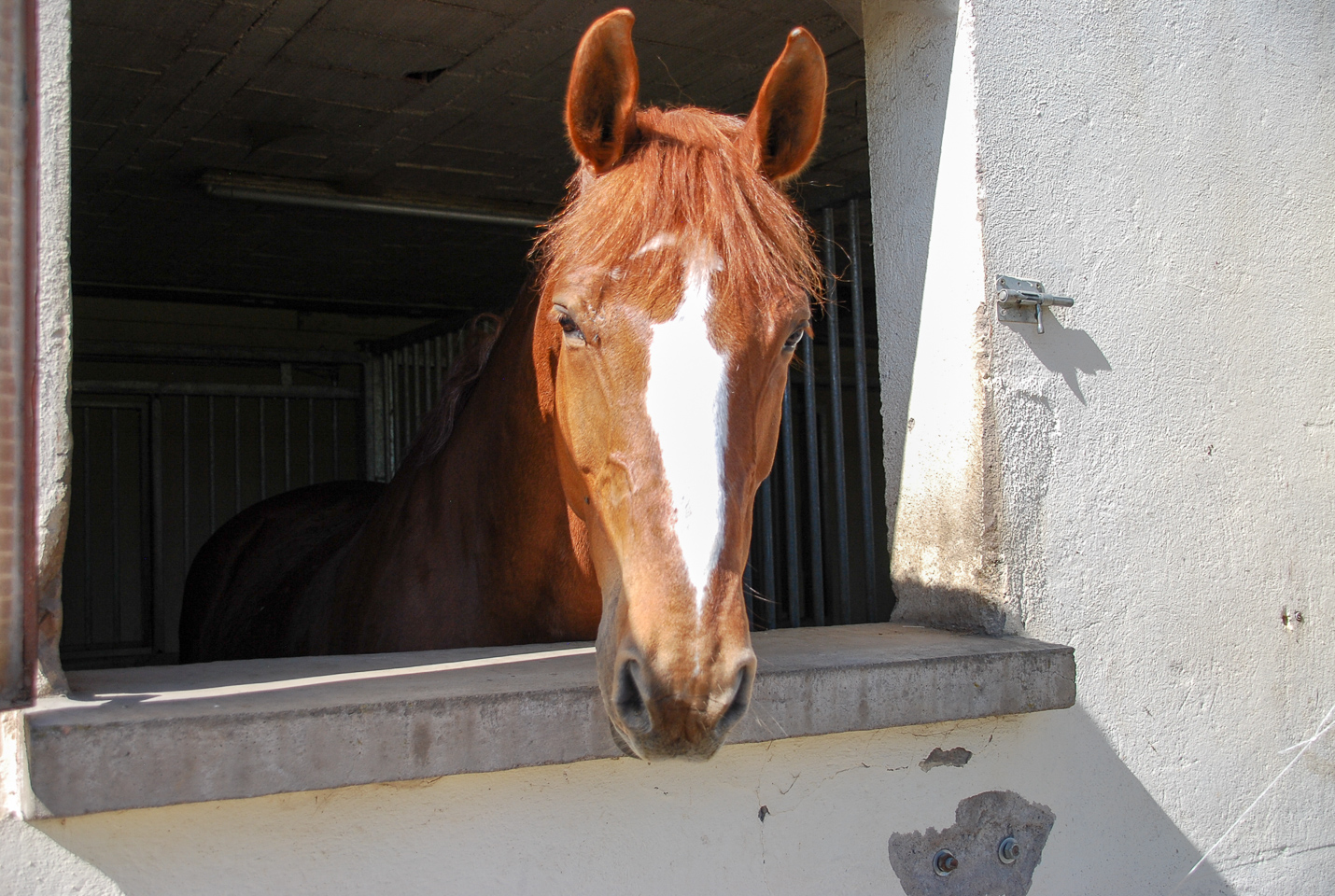 2018_04_19_Sotrie_Poney_Mimi_158.jpg