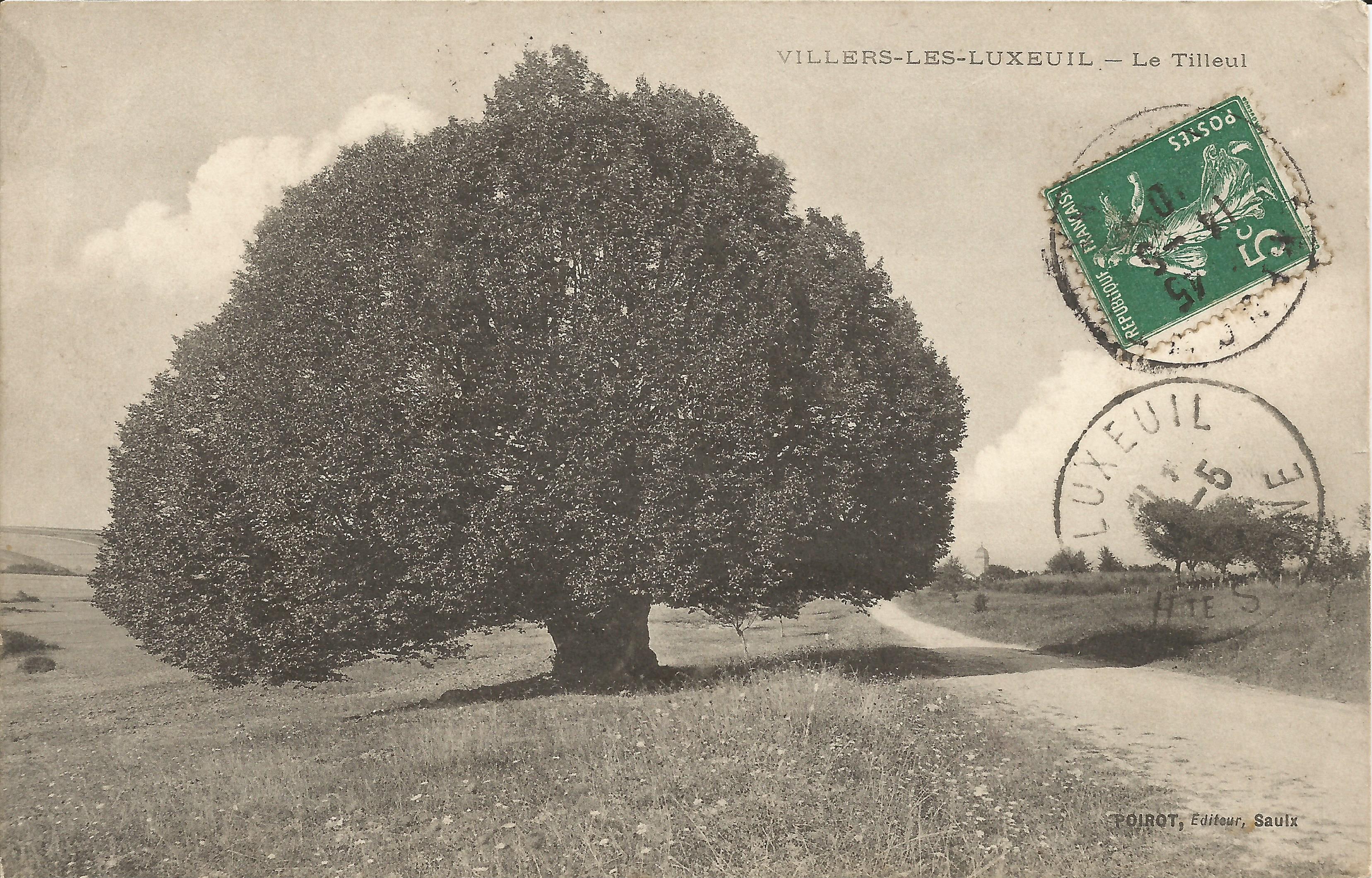 https://www.villers-les-luxeuil.com/projets/villers/files/images/Cartes_postales/Tilleul_2015/Le_Tilleul_3_1910.jpg