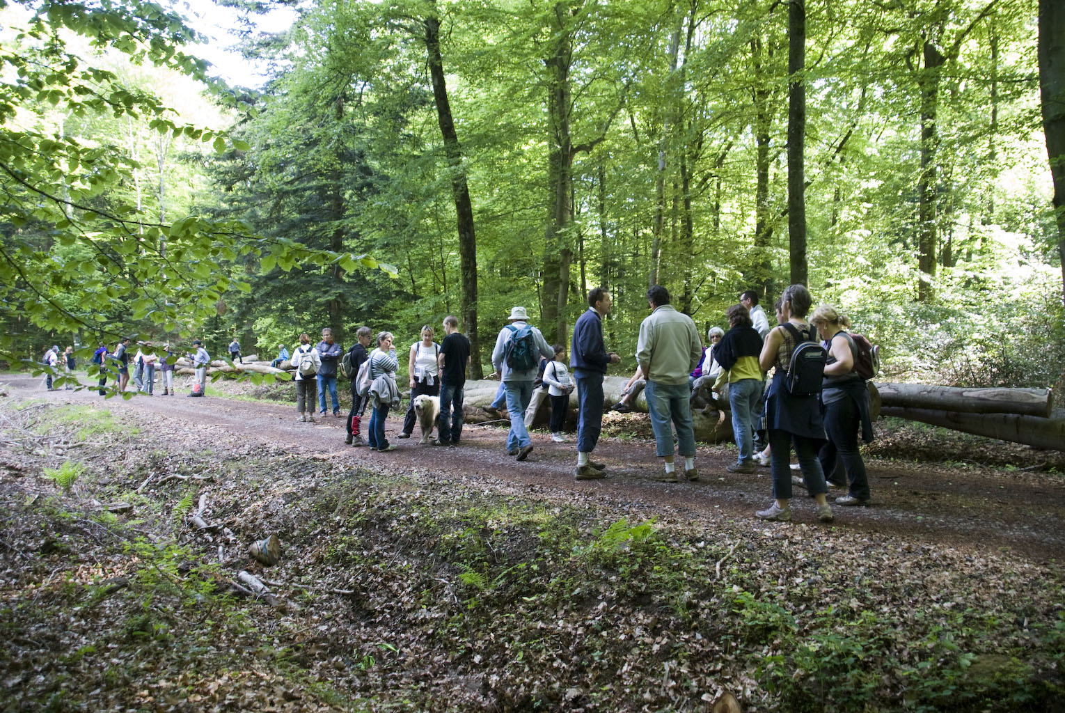 Rando_Genevrey_Brotte_13_Mai_2012_JeF_08.jpg