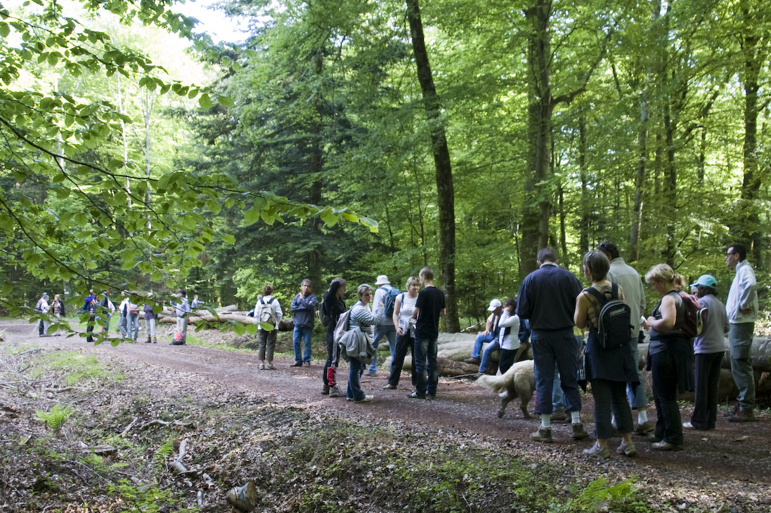 Rando_Genevrey_Brotte_13_Mai_2012_JeF_09.jpg