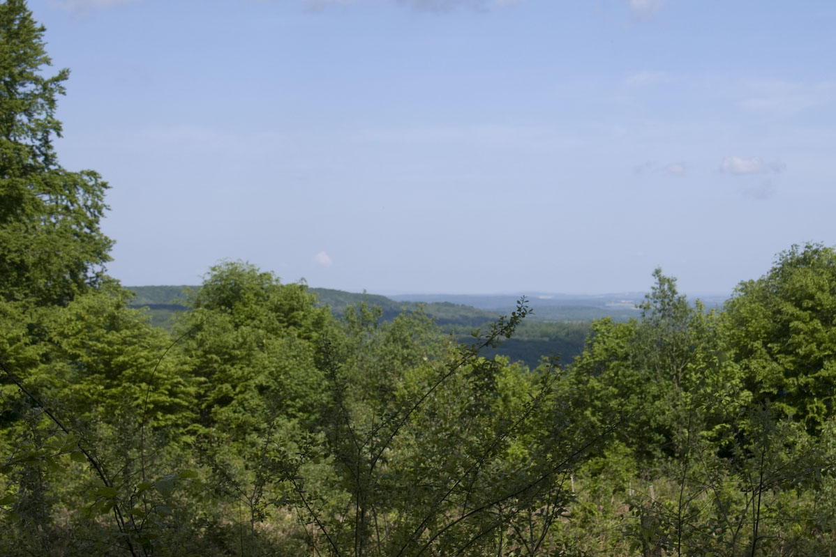Rando_Genevrey_Brotte_13_Mai_2012_JeF_11.jpg