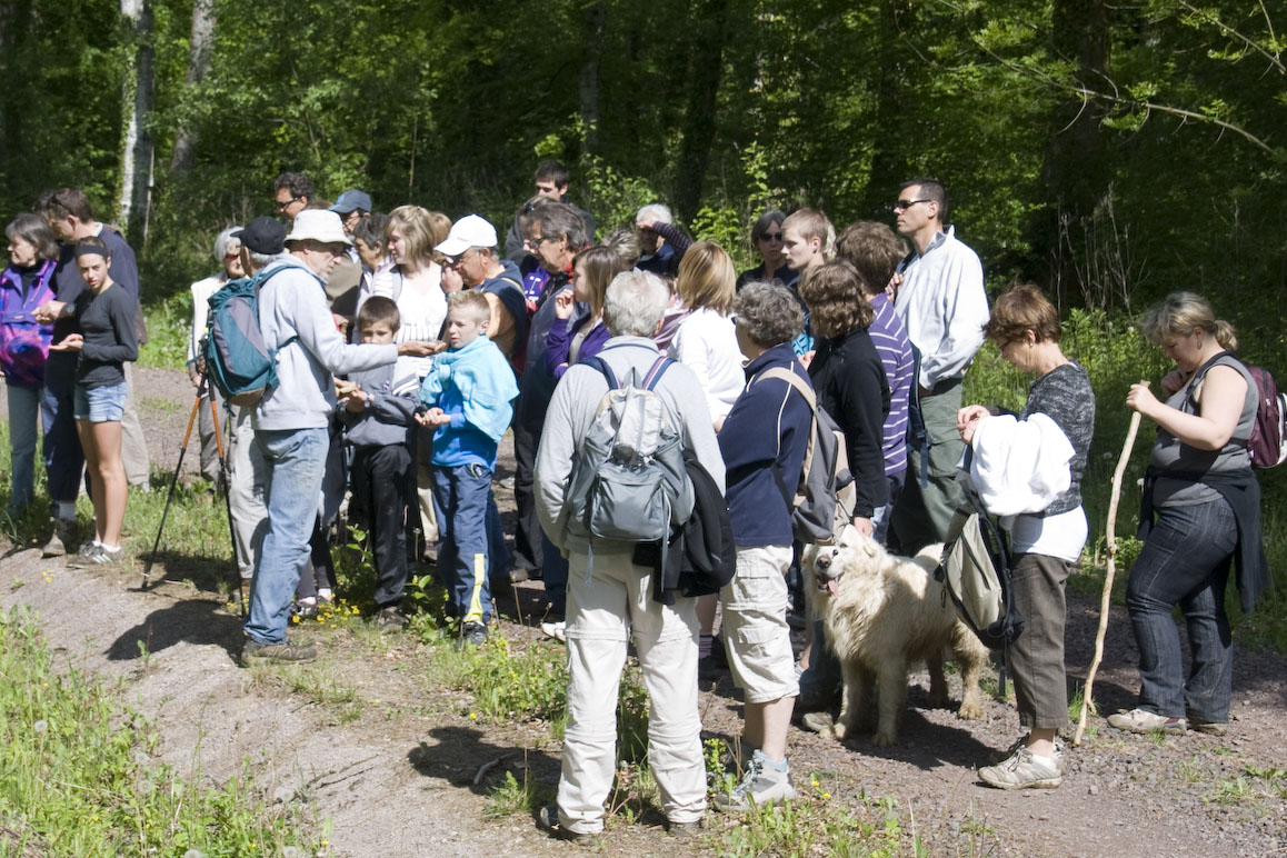 Rando_Genevrey_Brotte_13_Mai_2012_JeF_12.jpg