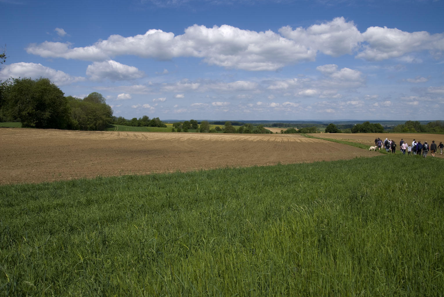 Rando_Genevrey_Brotte_13_Mai_2012_JeF_22.jpg