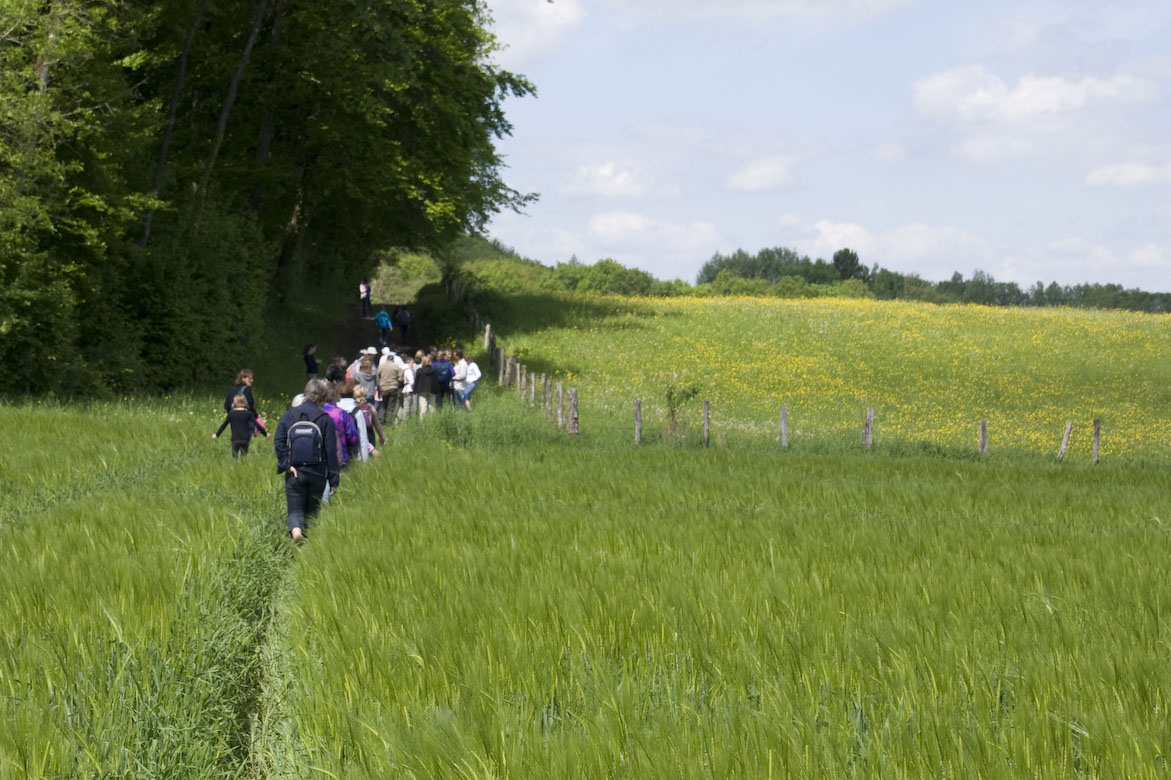 Rando_Genevrey_Brotte_13_Mai_2012_JeF_24.jpg