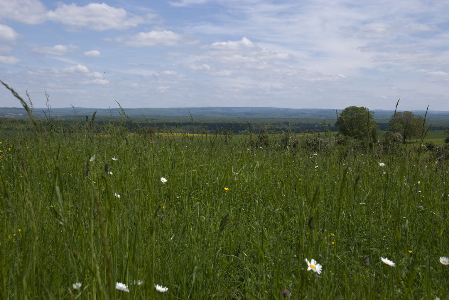 Rando_Genevrey_Brotte_13_Mai_2012_JeF_26.jpg