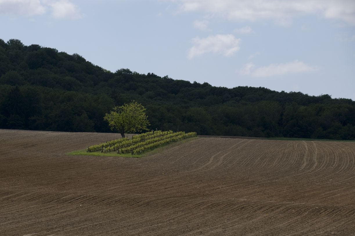Rando_Genevrey_Brotte_13_Mai_2012_JeF_27.jpg