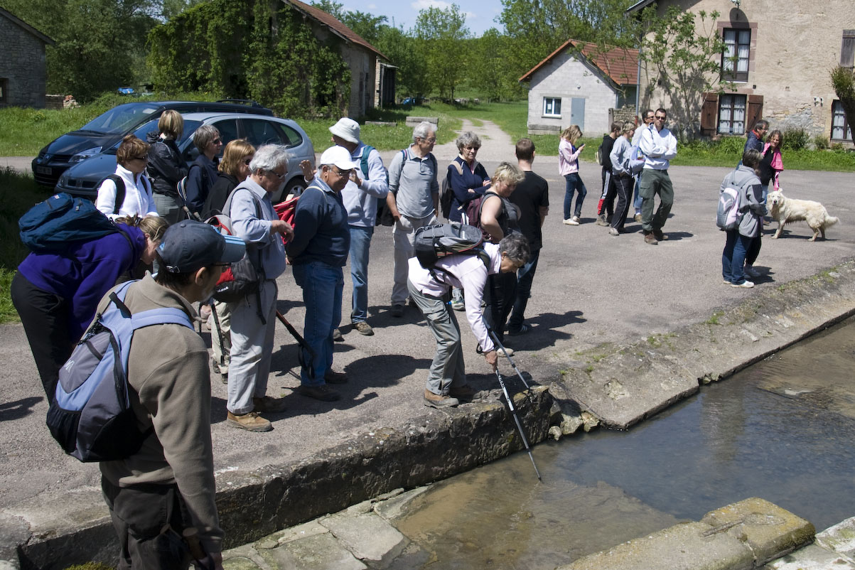 Rando_Genevrey_Brotte_13_Mai_2012_JeF_30.jpg